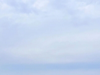 常州天宁区打造产业生态“森林”